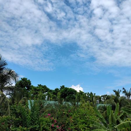Sunrise Inn Thoddoo Exterior foto